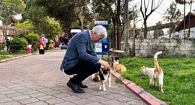 Adnan Öztekin’den Buca’da sokak hayvanları projesi