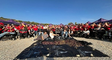 Engelli yurttaşlar ve yakınları zeytin hasadında buluştu