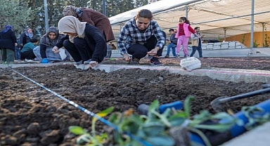 Mahalle bostanlarında kış dikimleri başladı