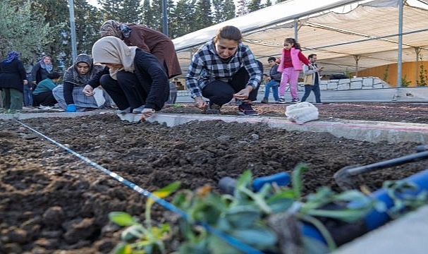 Mahalle bostanlarında kış dikimleri başladı