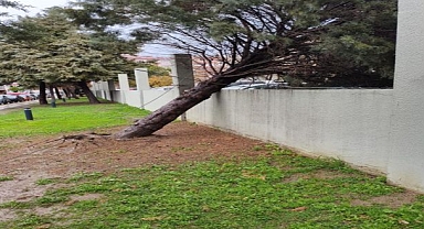 İzmir Büyükşehir Belediyesi ekiplerinin sağanak ve fırtına mesaisi