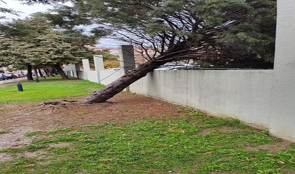 İzmir Büyükşehir Belediyesi ekiplerinin sağanak ve fırtına mesaisi