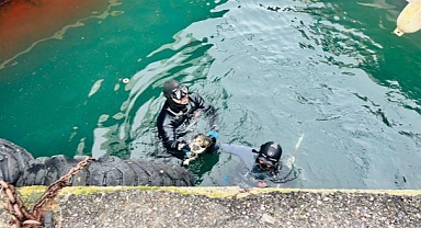 İzmir İtfaiyesi, iskele altında sıkışan kediyi kurtardı