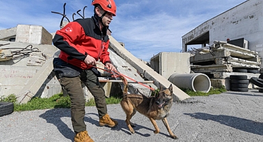 Afetzede hayvanlar için ilçelere arama kurtarma eğitimi