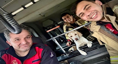 İzmir İtfaiyesi tüm canlıların imdadına yetişiyor