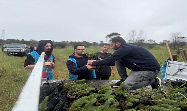 Aliağa’da yangınların yarası bin fıstık çamıyla sarıldı