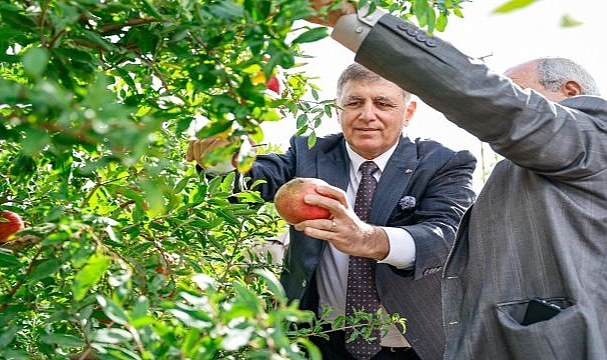 İzmir’in Tarım Master Planı rotasını çizdi