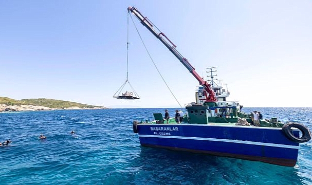 Midye kabukları deniz yaşamına nefes olacak