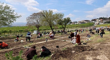 Mahalle Bostanları büyüyor