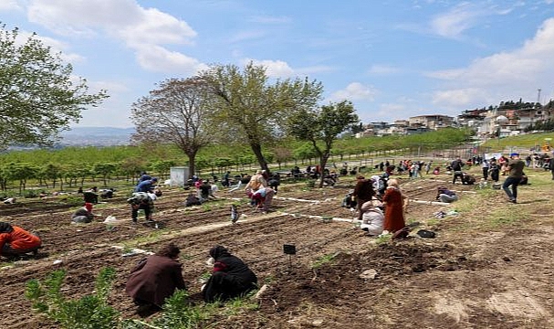 Mahalle Bostanları büyüyor